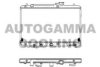 AUTOGAMMA 102321 Radiator, engine cooling
